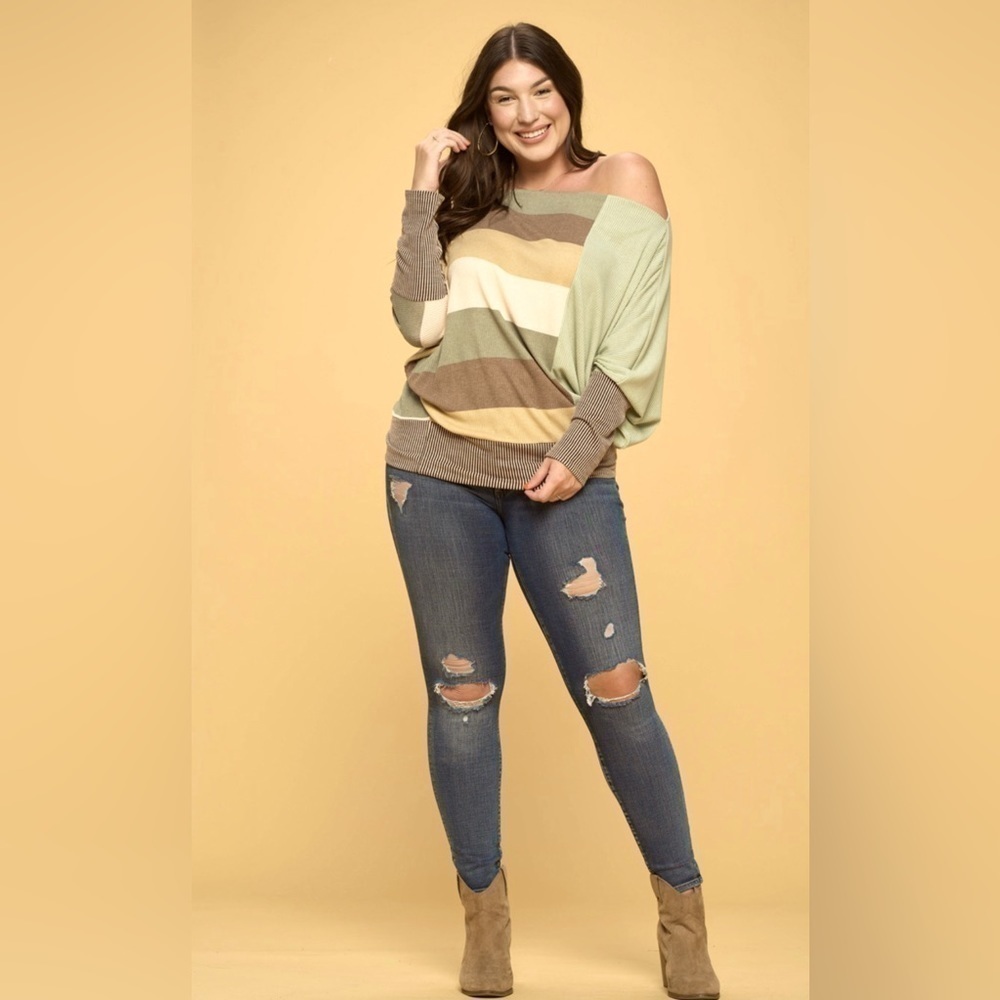 Ms. Diva Plus..Sage & Khaki Color Block Top